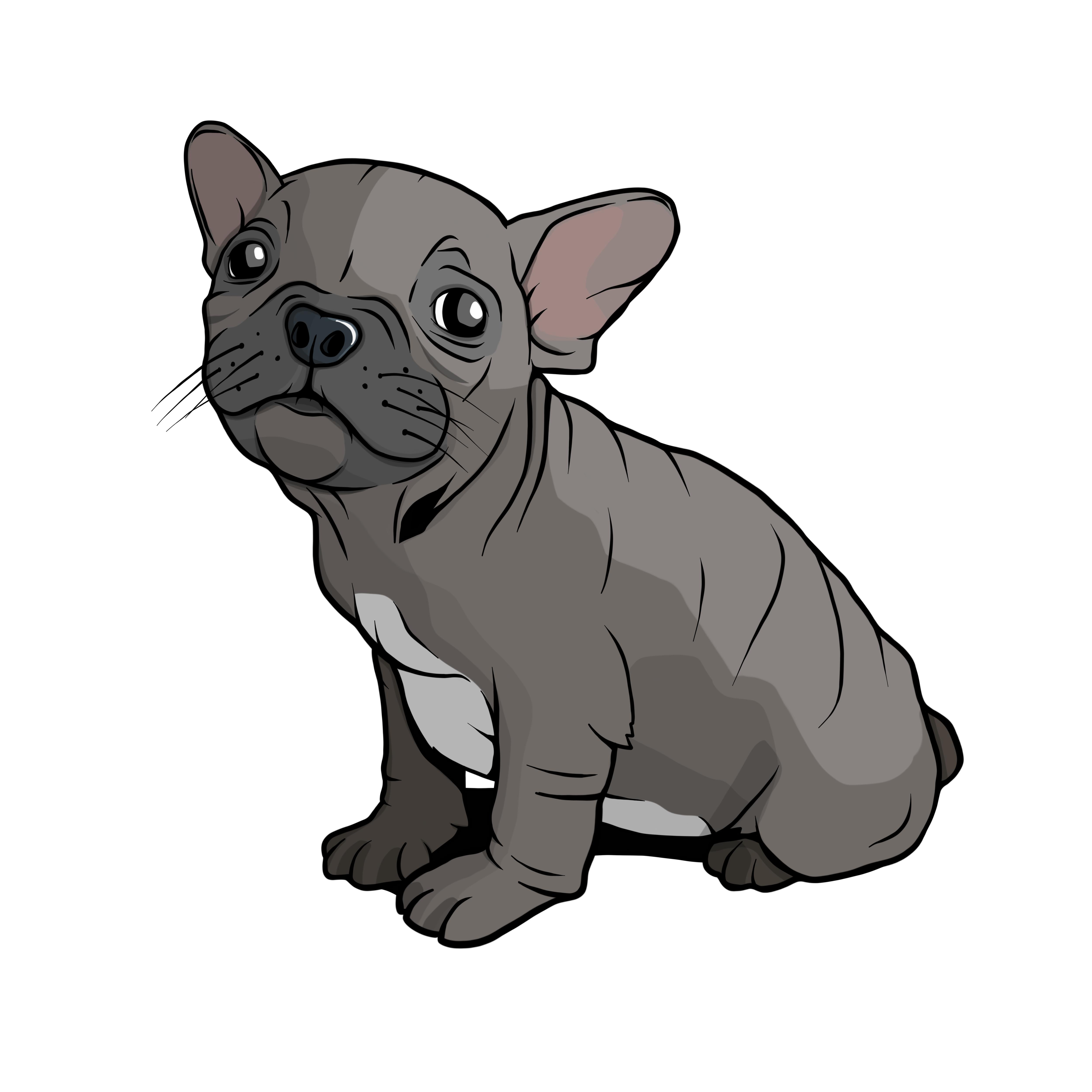 Tričko s potiskem Buldoček